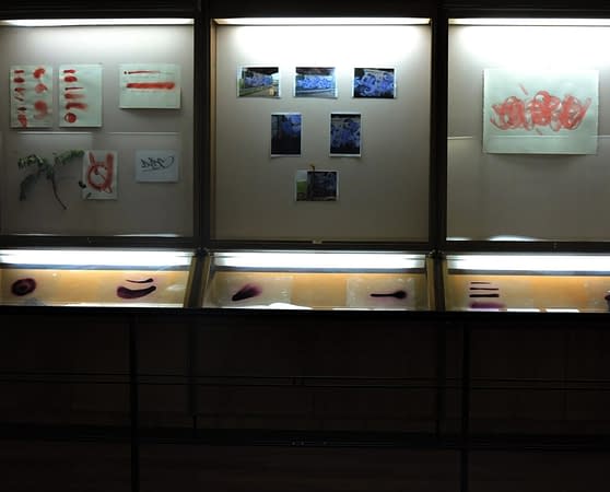 Frontal view of a museum showcase displaying various drawings and sketches by Dado Ferri