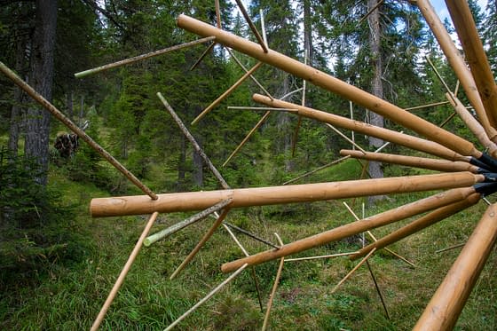 Detail of wooden sticks joined together in a geometrical spherical structure resembling a dandelion. High trees in the background.