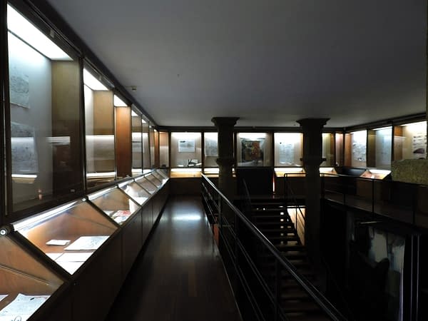 Interior view of a museum hall with illuminated showcases along the walls